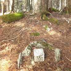151121_p12.jpg
