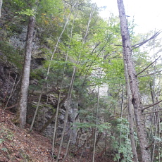 161010_p09.jpg