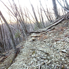 180303_p07.jpg