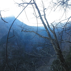 190302_p22.jpg