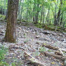 201004_p08.jpg
