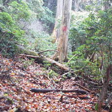 201018_p18.jpg