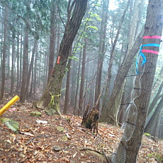 210515_p21.jpg