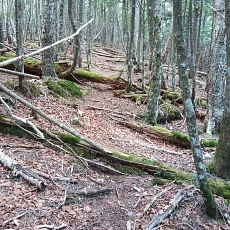 220528_p43.jpg