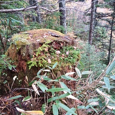221014_p12.jpg