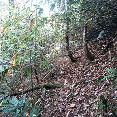 241022_p23.jpg