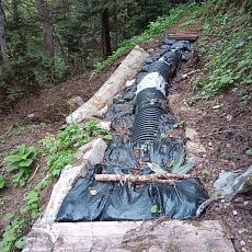 240612_p22.jpg