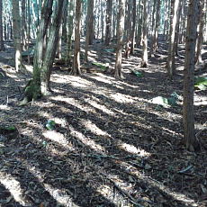 211020_p14.jpg