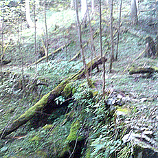 120909_p06.jpg