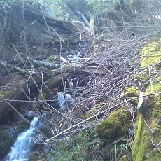 131006_p23.jpg
