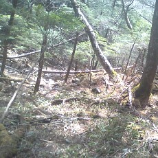 140517_p30.jpg