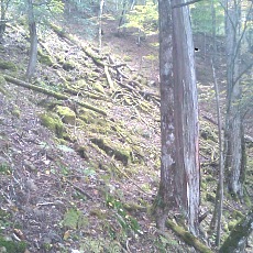 141004_p10.jpg