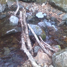 150331_p03.jpg