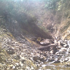 150429_p15.jpg