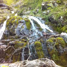 150523_p13.jpg