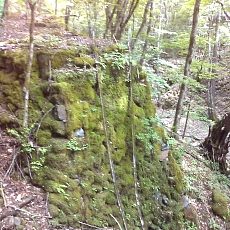 150605_p07.jpg