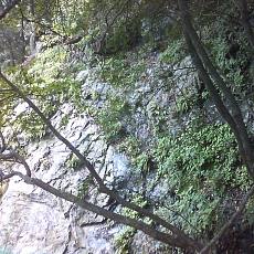 150905_p13.jpg