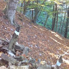 151025-01_p09.jpg