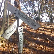 151103_p14.jpg