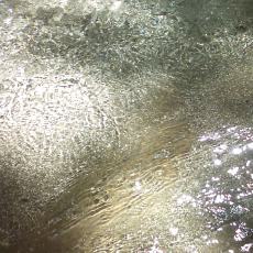 160603_p14.jpg