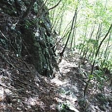 160925_p22.jpg