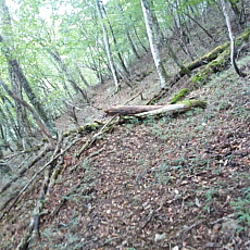 160925_p29.jpg