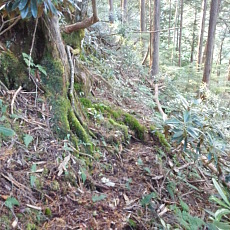161015_p21.jpg