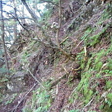 161015_p29.jpg