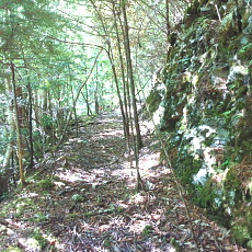 170617_p08.jpg