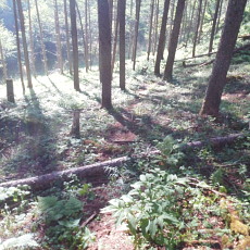 180603_p17.jpg