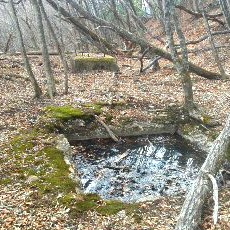 190323_p08.jpg