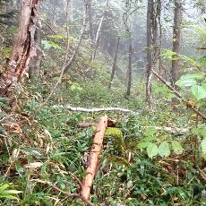 190921_p02.jpg
