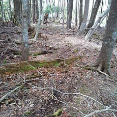 200024_p29.jpg
