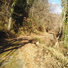 201220_p03.jpg