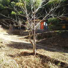 201220_p08.jpg