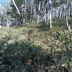 221112_p25.jpg