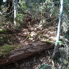 221028_p26.jpg