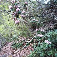 230502_p06.jpg
