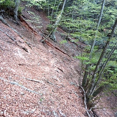 230502_p17.jpg
