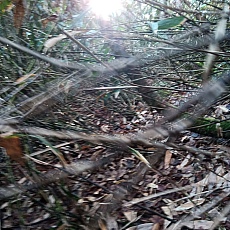 241022_p04.jpg