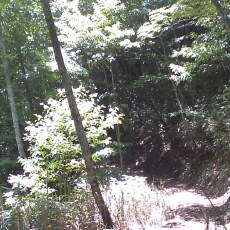 100718_n03.jpg