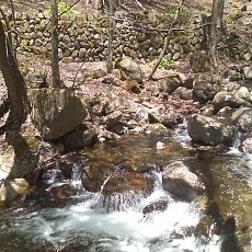 110514_n05.jpg