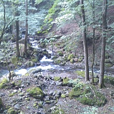 121007_n01.jpg
