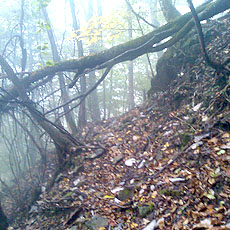 121027_p02.jpg