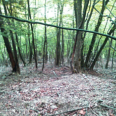 130526_p29.jpg