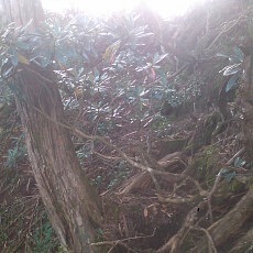 140913_p21.jpg