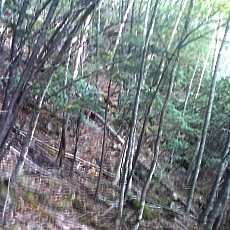 140922_p11.jpg