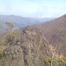 150429_p05.jpg