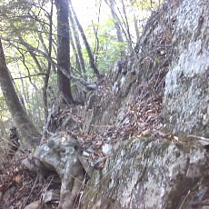 151010_p30.jpg