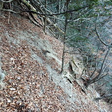 170203_p15.jpg